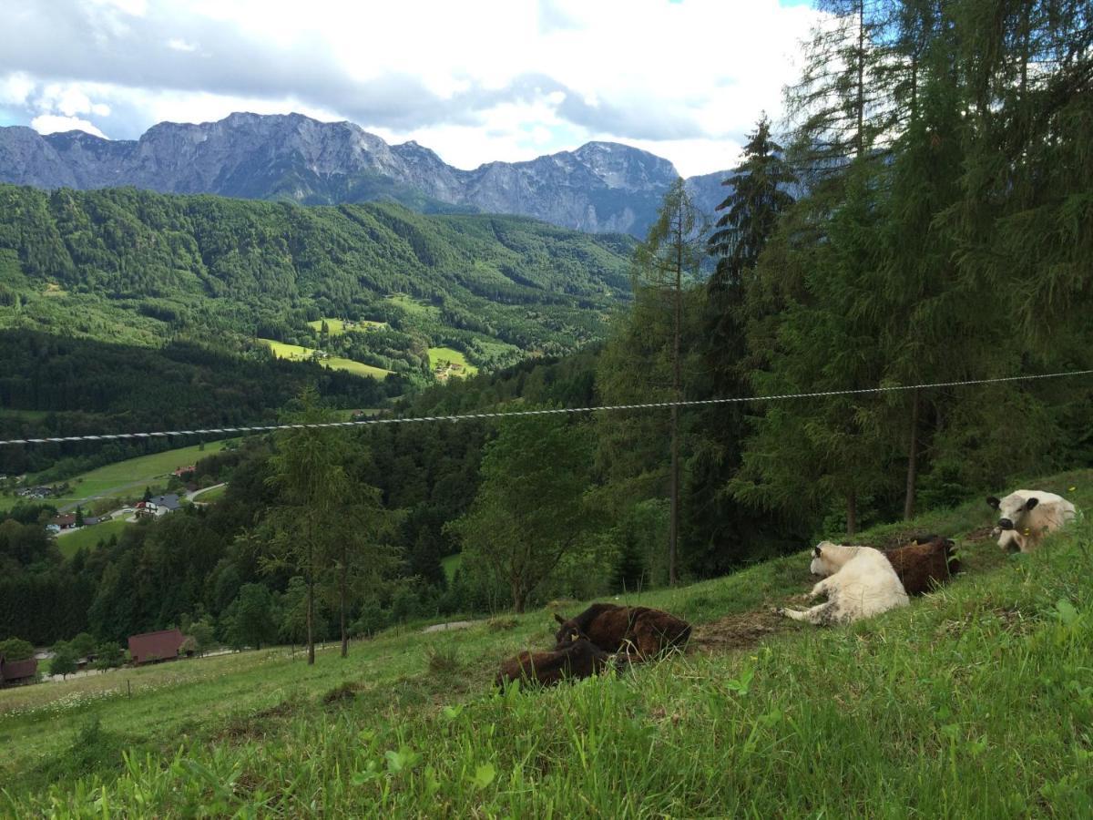 Kreitalm - Kraftplatz Im Salzkammergut Neukirchen  Bagian luar foto