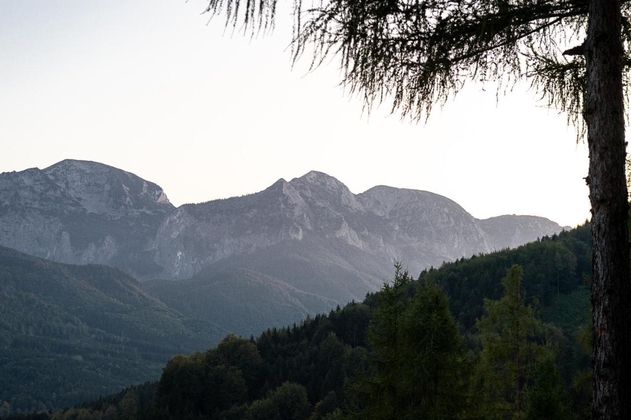Kreitalm - Kraftplatz Im Salzkammergut Neukirchen  Bagian luar foto